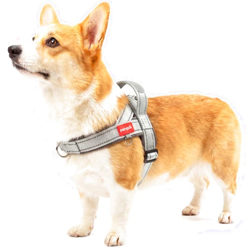 Pangdi No Pull Dog Harness with Handle, French Bulldog Adjustable Reflective Dog Vest, Breathable Air Mesh Padded Pet Harness with Front Leash Clip for Small Medium Dogs, Light Grey, L