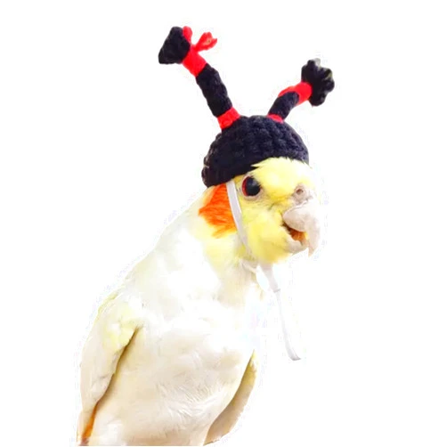 Barn Eleven Cute Birds Hat with Funny Dress up Top Hat for Parrot, Birthday/Halloween/Christmas Party Head Cover for Budgie Cockatiels Conure Lovebird (Black,Quaker)