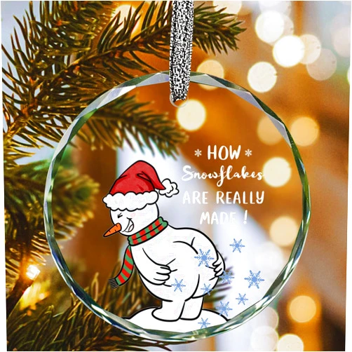 SELORY Funny Christmas Ornaments 2025,White Elephant Gifts,Stocking Stuffers for Men Women,Gag Gift for Friends Coworkers Boyfriend Family-How Snowflakes are Really Made
