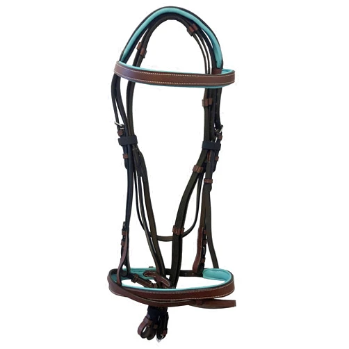 Equitem Leather English Teal Padded Bridle with Reins