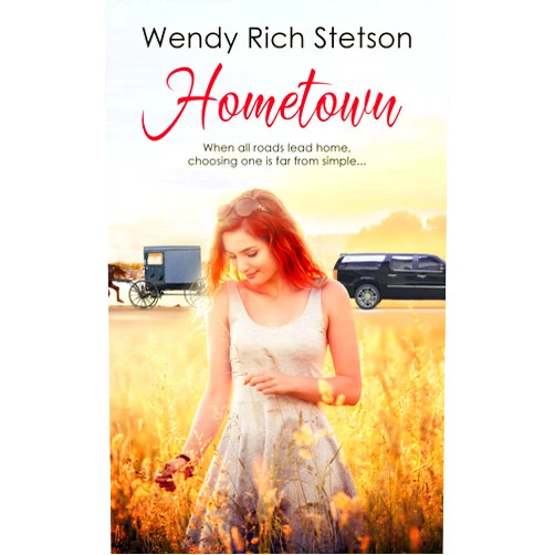Wendy Rich Stetson Hometown (Hearts of the Ridge Book 1)
