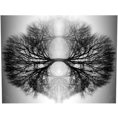 Artful printers C-16202059 Reflections Photography Canvas Art, 16 x 20 in.