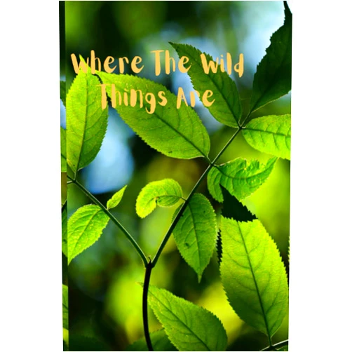 By Katina Davis (Author) Wild About Nature: Journal