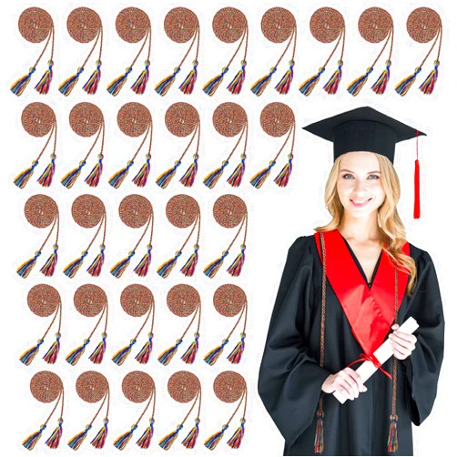 Woanger 30 Pcs 2025 Graduation Cords 67 Inch Braided Honor Cord with Tassels for College Graduation Students Bachelor Master Doctor Grad Decor(Rainbow)