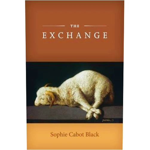 By unknown author (Author) [(The Exchange)] [Author: Sophie Cabot Black] published on (May, 2013)