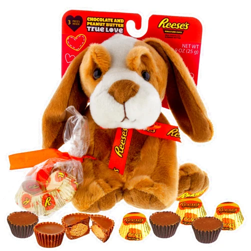 Galerie Valentines Day Dog Puppy Plush with Reese's Peanut Butter Cups, Vday Gift for Boy or Girls