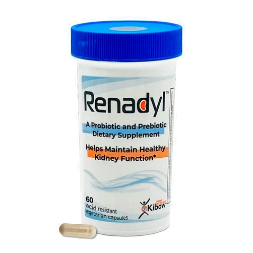 Kibow Renadyl Kidney Probiotic Supplement | Urea, Creatinine, & Uric Acid Support | 45 Billion CFUs | Clinically Tested, Non-GMO, & Made in USA, 60 Capsules (1 Bottle, 1 Month Supply)