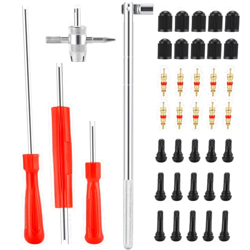 BULGILIA Valve Stem Removal Tool & Installer Tool Kit - 15Pcs TR412/ TR413/ TR414 Tubeless Tire Valve Stems, 20Pcs Valve Caps/Cores, 1Pcs Valve Insertion Installer, 4Pcs Valve Core Remover (Pack of 40)