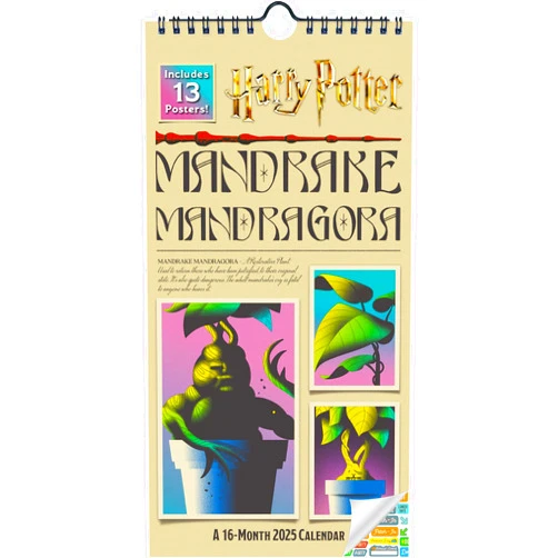 Trends International Harry Potter Calendar 2025 - Deluxe 2025 Harry Potter Mini Poster Calendar Bundle with Over 100 Calendar Stickers (Muggle Gifts, Office Supplies)