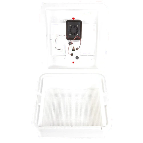 Little Giant® Digital Circulated Air Incubator | 41 Eggs | Egg Incubator with Fan, Temperature and Humidity Control | Hatching Eggs