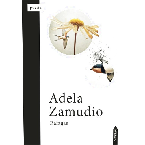 Spanish Edition by Adela Zamudio (Author) Ráfagas