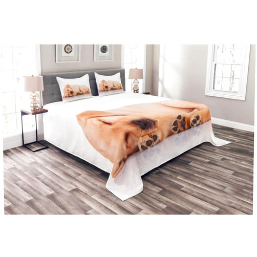 Ambesonne Dog Paws Bedspread, Side View of a Little Labrador Retriever Sleeping, Decorative Quilted 3 Piece Coverlet Set with 2 Pillow Shams, Queen Size, Warm Taupe White