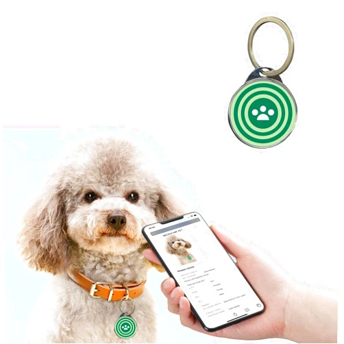 RexID Dog Tag Green Round QR Code Pet ID Tags with Pet Online Profile and Owner Contact,Smart Permanent ID Tag for Connecting Pet Owner Immediately by Anybody Anywhere with Mobile Phone(Round, M)