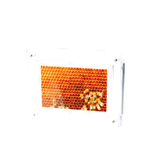 Infinite Objects | Bee Hive Art Prints | Handcrafted Digital Art | Home Decor | No Setup | Easy and Simple Digital Frame | Small Acrylic