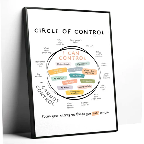 Generic Metal Framed Circle Of Control Poster Mental Health Poster What I Can And Cannot Control Poster Calm Down Corner Wall Art School Classroom Therapy Office Decor (L16 xW12 Metal frame)