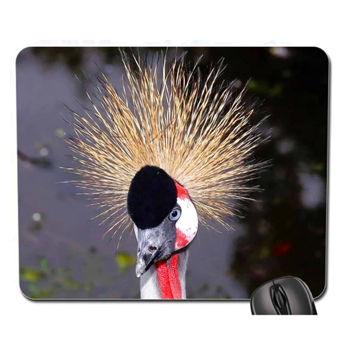 Yuatuwaw Mouse Pad - Bird Grey Crowned Crane Crane Spring Crown