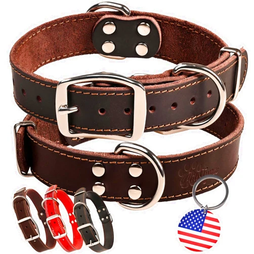 ADITYNA Heavy Duty Leather Dog Collar - Soft and Strong Dog Collar for Medium Dogs - Perfect for Walking, Training, Hiking, Traveling, Playing, and Running (Medium: Fit 13