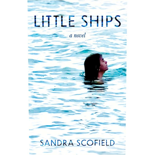 By Sandra J Scofield (Author) Format: Kindle Edition Little Ships: A Novel