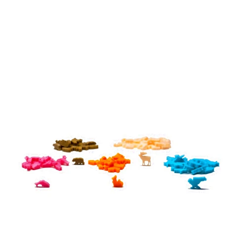 BoardGameSet Cascadia Board Game Compatible Upgrade Set | Board Game Accessories Upgrade Gaming Meeples Tokens Organizers Pieces