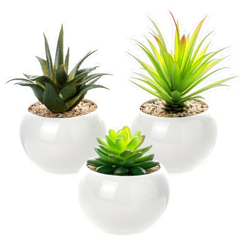 MyGift Mini Assorted Artificial Succulents in Round White Ceramic Pots, Mixed Realistic Indoor House Plants, Set of 3