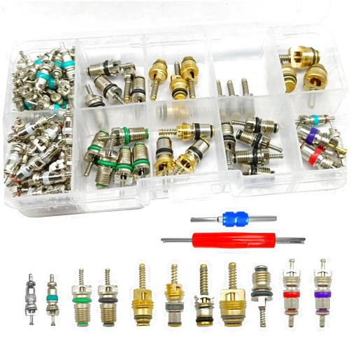 CmeRto 102Pcs Air Conditioning Valve Core Accessories Kit, A/C R12 R134a Refrigeration Tire Valve Stem with Double Head Dual Dismantling Remover Installer Tool Assortment Kit