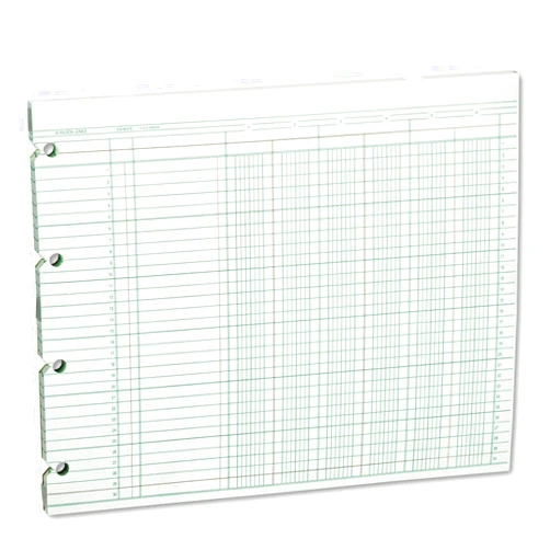 Wilson Jones Accounting Sheets, Six Column, 9-1/4 x 11-7/8, Green (Pack of 100 Loose Sheets) (WLJG106)