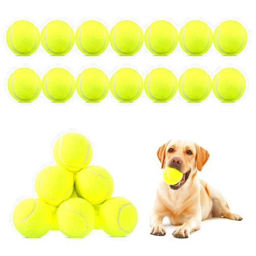 Neyauo 20 Pack Bulk Tennis Balls for Dogs, 2.5 Inch Small Tennis Balls for Pet Playing Fecth, Yellow Interactive Easy Catching Dog Playing Ball for Mini Size Dogs Puppy Pet Playings Exercise and Practice