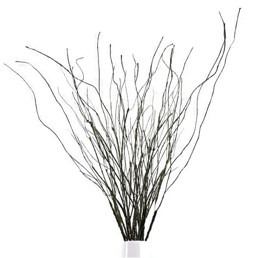 Ruidazon 10Pcs 30.7