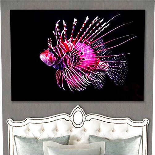 SIGNLEADER Wall Art for Bedroom, Canvas Prints Peaceful Seas XIII Closeup Colorful Fish Marine Life Modern Art Multicolor Nautical Neon Photography - 32x48 inches