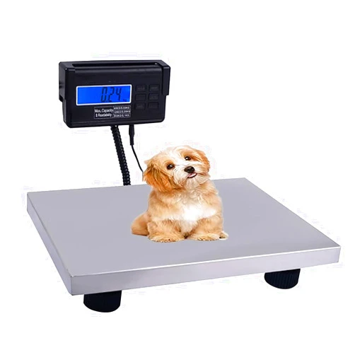 TsoLay Animal Digital Scale, Large Multi-Use Digital Scale, 660LB Heavy Duty Digital Livestock Platform Scale with Timer/Hold/Tare, High Accuracy, for Pets Cat Dog Cattle Postal Shipping Warehouse