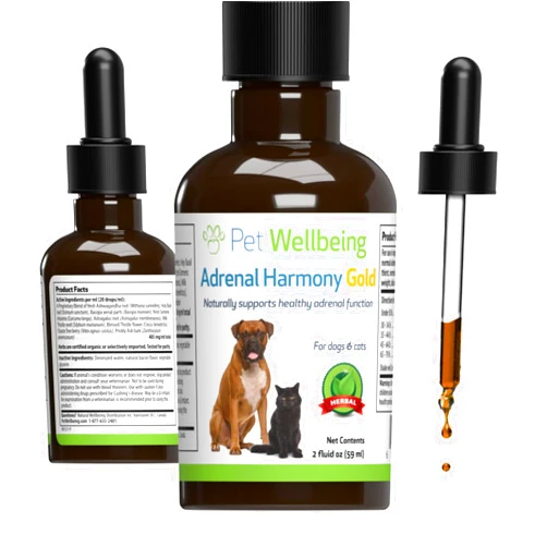 Pet Wellbeing Adrenal Harmony Gold - Veterinarian Formulated - Dog Cushing's, Adrenal Health, Cortisol Balance, Antioxidant Support - Natural Herbal Supplement for Dogs 2 fl oz (59 ml)
