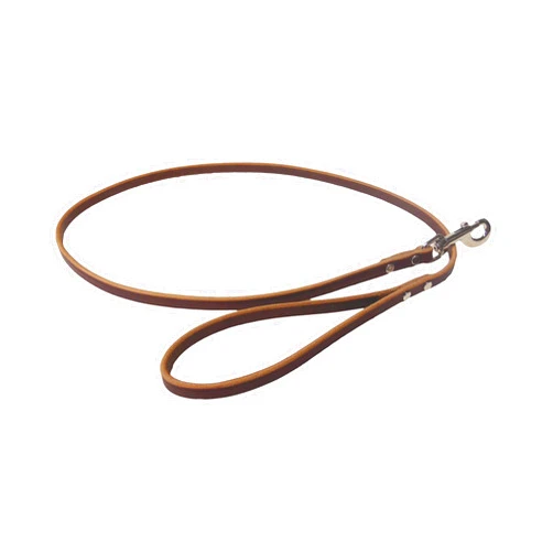 Warner Sporting Warner Cumberland Leather Snap Leash (6 Foot, Rich Brown)