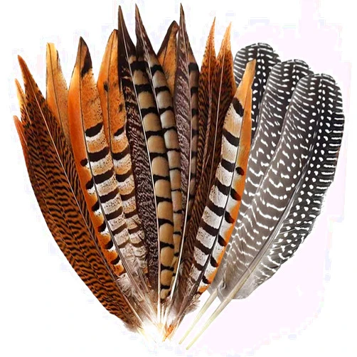 Flying Feathers Natural Pheasant Feathers 4 Style 15-20cm 12pcs Natural Feathers for DIY Craft Home Party Decorations FF03…