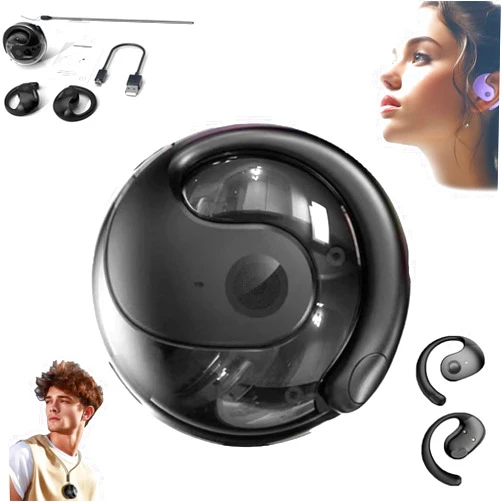 Bosjct Hy-Undai Hy-T26 Pro Language Translator, Simultaneous Interpretation Earphone, Supports over 75 Different Languages, Translation Earbuds Real Time,Bt 5.4, Hifi Stereo Sound,High Sound Quality(Black)