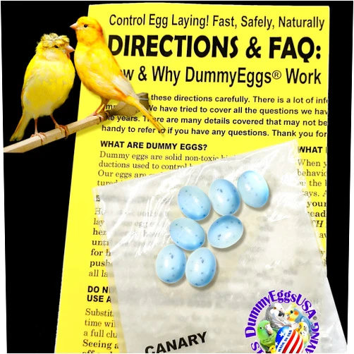 DummyEggs Plastic Canary Bird Eggs Stop Laying! 7 Realistic Speckled Blue Green Safe Not Painted USA