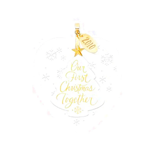 Hallmark Keepsake Ornament Our First Christmas Together 2010