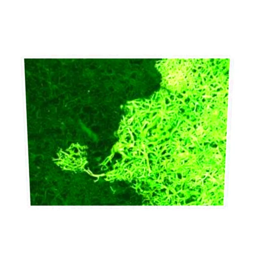 Ziterdes 6012181 Tabletop