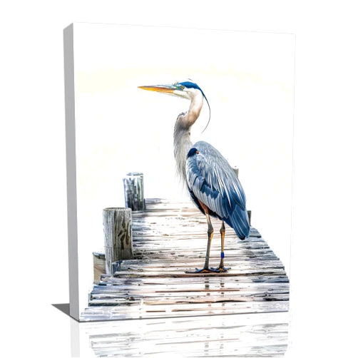 Marikyoa Coastal Bathroom Wall Art Sea Bird Wall Decor Blue Heron Pictures Ocean Beach Canvas Painting Prints Artwork Framed for Living Room Bedroom Bathroom Home Decor 12