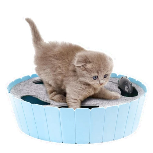 Pawaboo Interactive Cat Toy with Running Mouse, Electronic Motion Cat Toy Automatic Teaser for Indoor Cats, Pop and Play Hide Seek Cat Toy Hunting Mouse for Pet Cat Kitten Play Fun Exercise, Blue