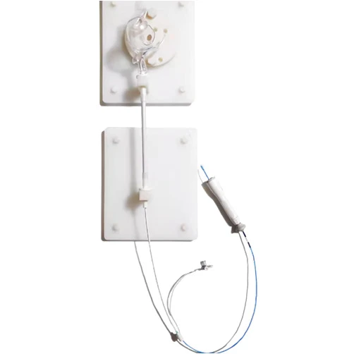 RZEKSZY Cardiac intervention Training Model Left Atrial Intervention Training Table Transparent 3D Electrophysiology Simulator for Atrial Fibrillation Ablation Training Inferior Vvena Cava Access