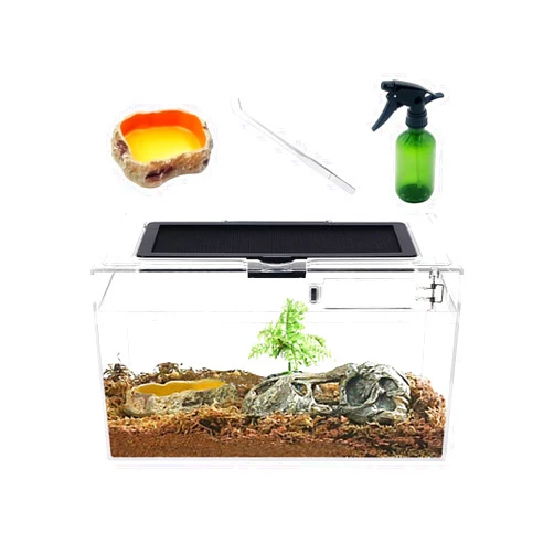Reptile Growth Mini Reptile Terrarium Set,12