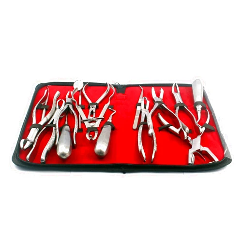 PRECISE CANADA Precise Canda - Assorted Set of 15 PCS Dental Instruments Elevator, EXTRACTING Forceps, Mirror, Probe and Explorer and ENDODONTIC CLAMP Punch