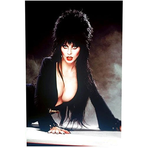 Elvira 8x10 Inch Photo Elvira: Mistress of the Dark Hands Supporting Her Weight Fog in Background kn