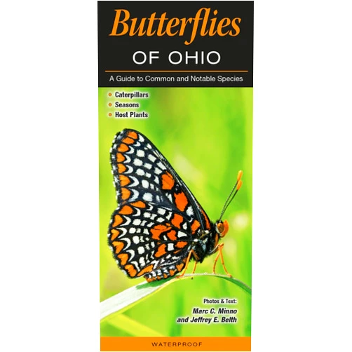 By Marc Minno (Author), Jeffrey E Belth (Author) Butterflies of Ohio