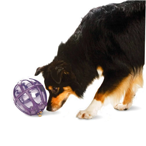 PetSafe Busy Buddy Kibble Nibble - Dog Toy - Treat and Food Dispenser - Slow Feeder - Medium/Large