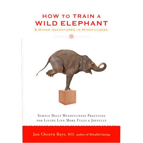 By Jan Chozen Bays MD (Author) Format: Kindle Edition How to Train a Wild Elephant: And Other Adventures in Mindfulness