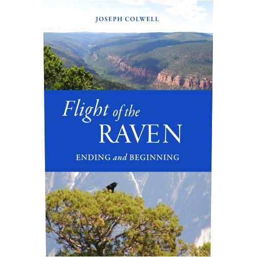 By Joseph Colwell (Author), Katherine Colwell (Editor), Connie King (Designer) & 0 more Flight of the Raven: Ending and Beginning (Ravens Nest)