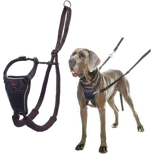 The Company of Animals HALTI No Pull Harness - to Stop Your Dog Pulling on The Leash. Adjustable, Lightweight and Easy to Use. Reflective Dog Training Harness for Large Dogs (Size L),Black