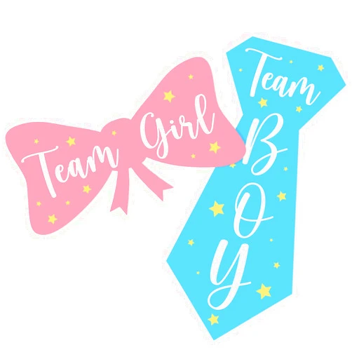 Kaecery Team Boy and Team Girl Gender Reveal Stickers Labels Waterproof for Party Invitations Voting Games,Funny Bow Tie Shaped Blue and Pink Gender Reveal Stickers for Gender Revealing Party