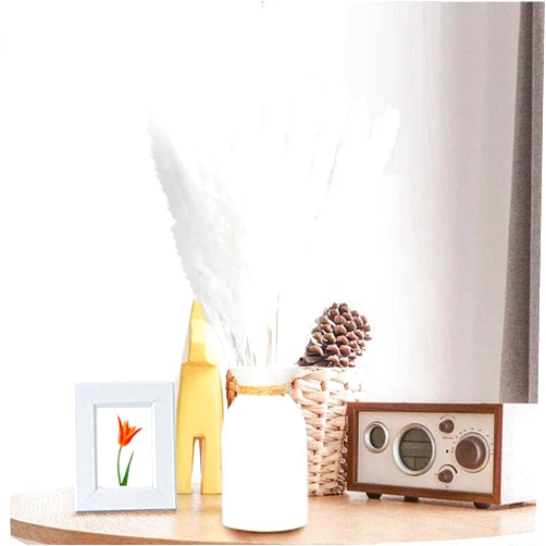 Davnjcka 45Pcs Pampas Grass Decor 17.5'' White Pampas Ggrass,Dried Pampas Grass,Pompas Floral,Boho Home Decor,Pompass Grass Branches for Vase Flower Arrangement Wedding Home Decor (45Pcs White Pampas Grass)